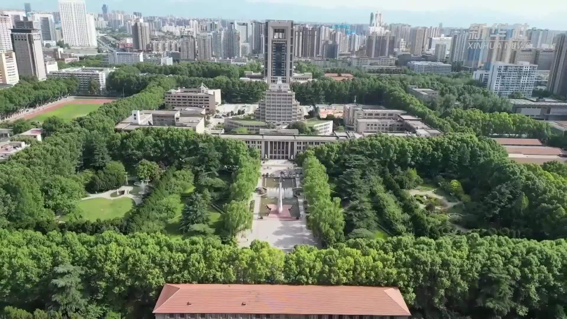 以数观势｜促进高质量充分就业 擦亮民生幸福底色