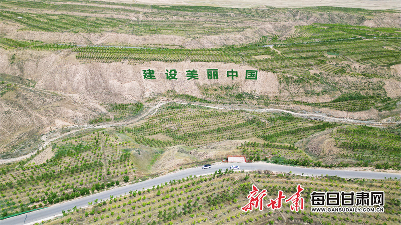 生态环保行媒体团漫步绿色廊道　解锁植绿密码