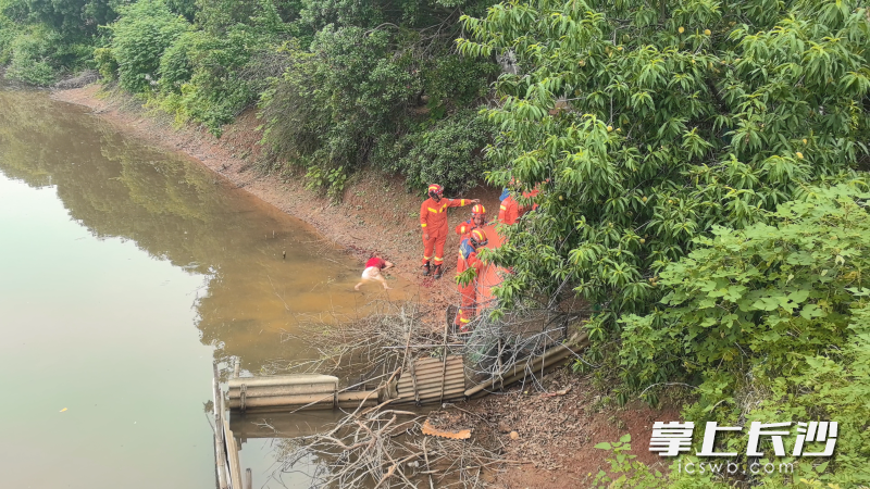 七旬老人失足落水,倒在湿滑的池塘岸边无法动弹,情况万分危急。均为长沙晚报 通讯员 张新垚 摄