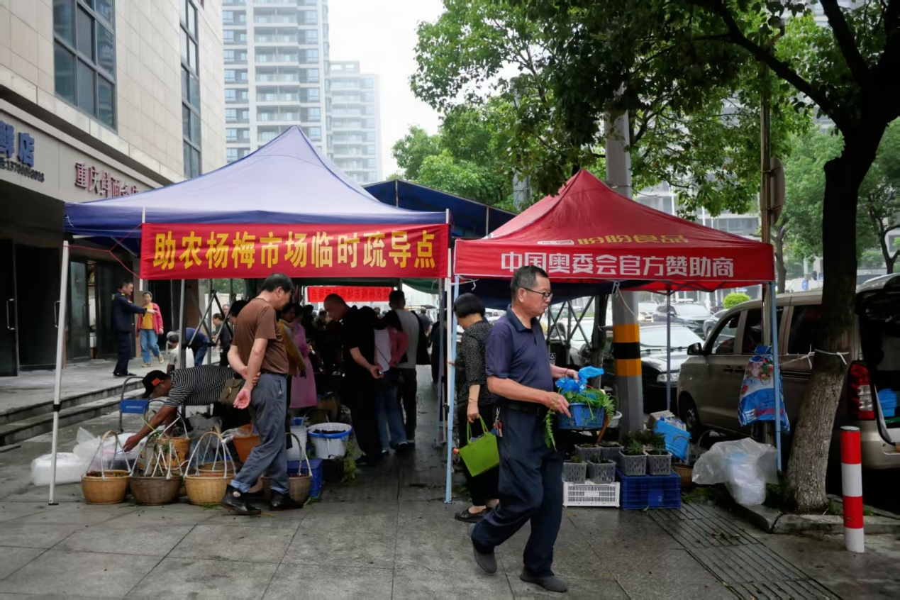“梅”好有序，正当红——镇海骆驼杨梅临时疏导点温情上线