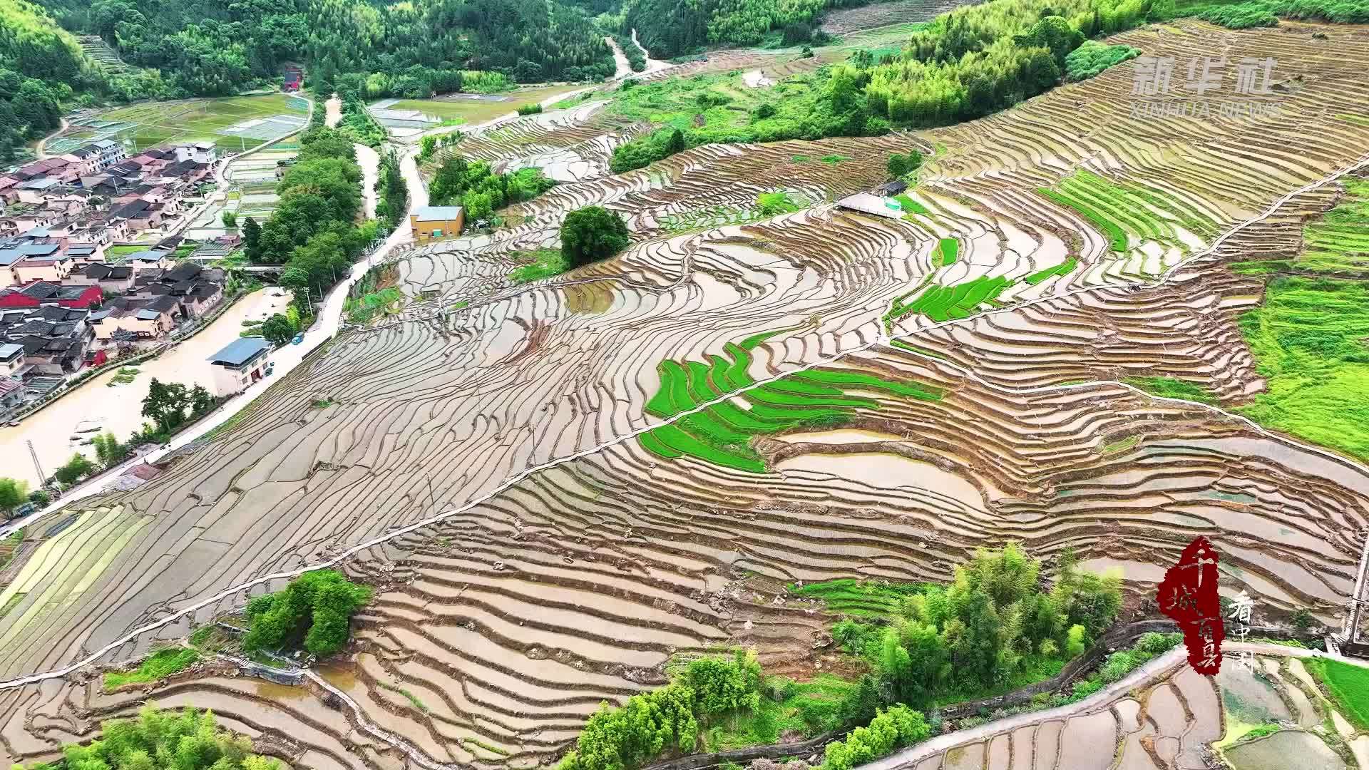 千城百县看中国｜福建屏南：银轨如弦架梯田 夏种时节奏新篇