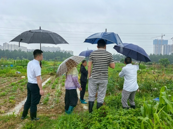 南昌县：田间地头化纠纷 社区治理绘同心
