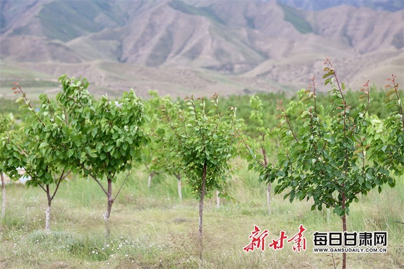 生态环保行媒体团漫步绿色廊道　解锁植绿密码