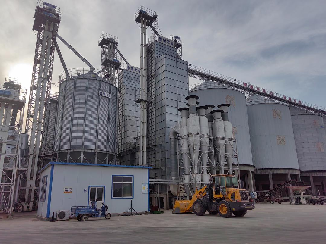 鲁望农场的烘干设备已进入工作状态。