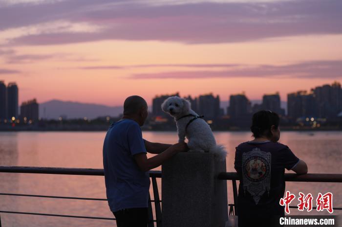 6月16日傍晚，江西南昌上空落日美景，晚霞满天，不少民众来到朝阳江滩公园欣赏晚霞美景。中新社记者 刘思伟 摄