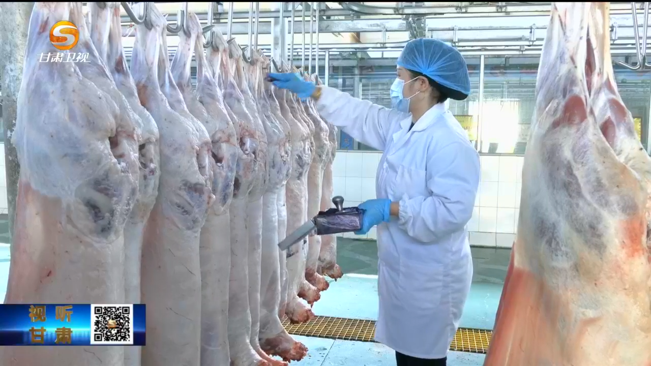 建设全国现代寒旱特色农业先行基地　甘肃这样干