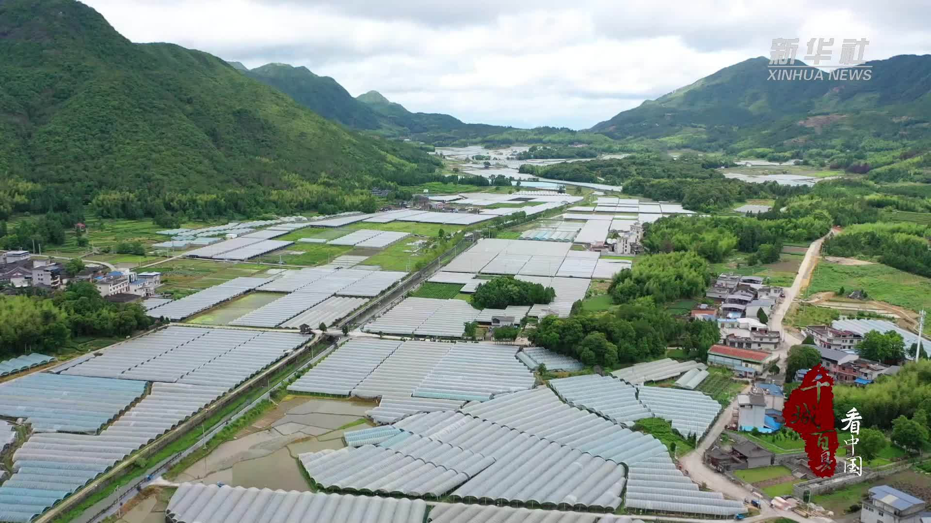 千城百县看中国｜福建霞浦：桃香满枝头