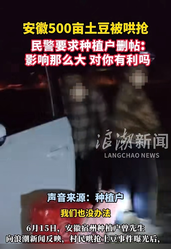 宿州埇桥500亩土豆被哄抢，民警要求种植户删帖！