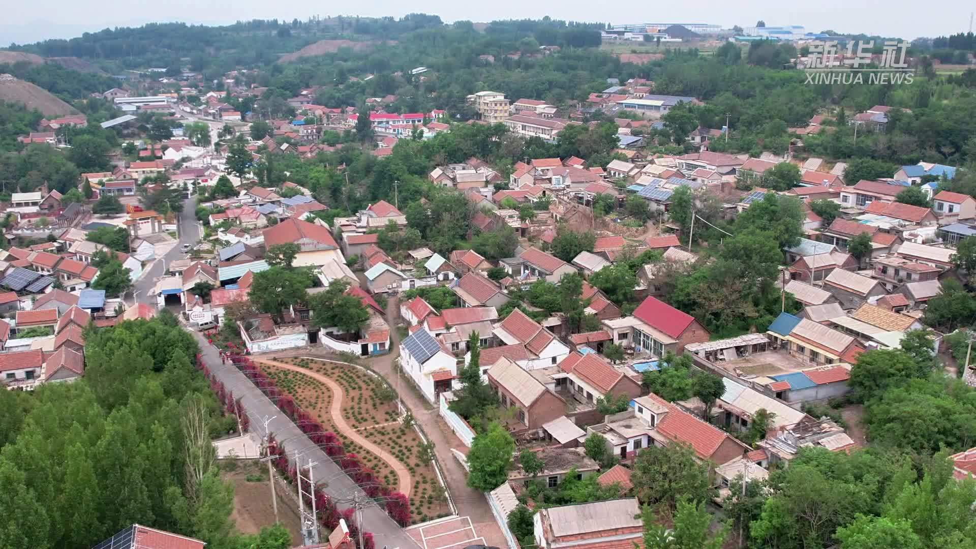 山东:绿美乡村绘就振兴新图景