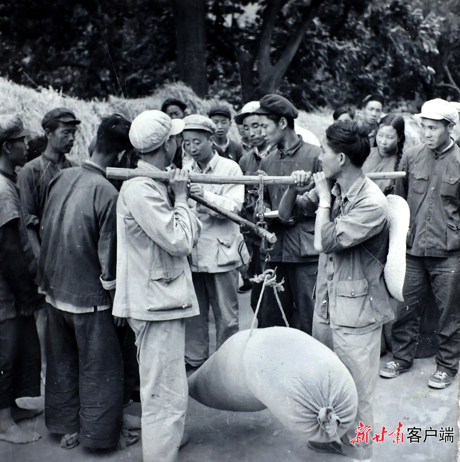 AI复活老照片　60年前陇原夏日“丰”景有多美