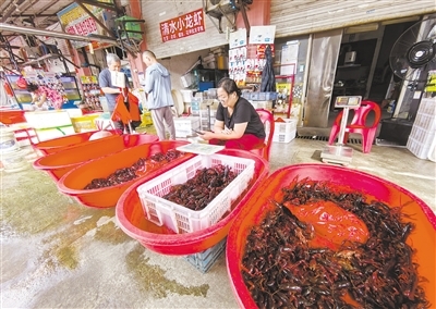 小龙虾被分成各种规格售卖