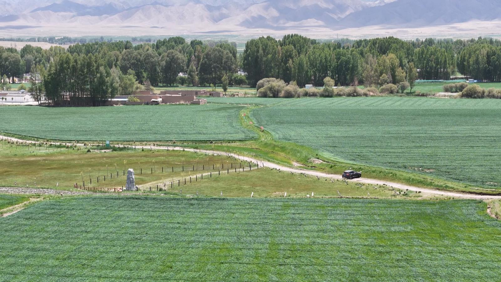 永昌智撑“粮”辰美景 农业尽显科技范