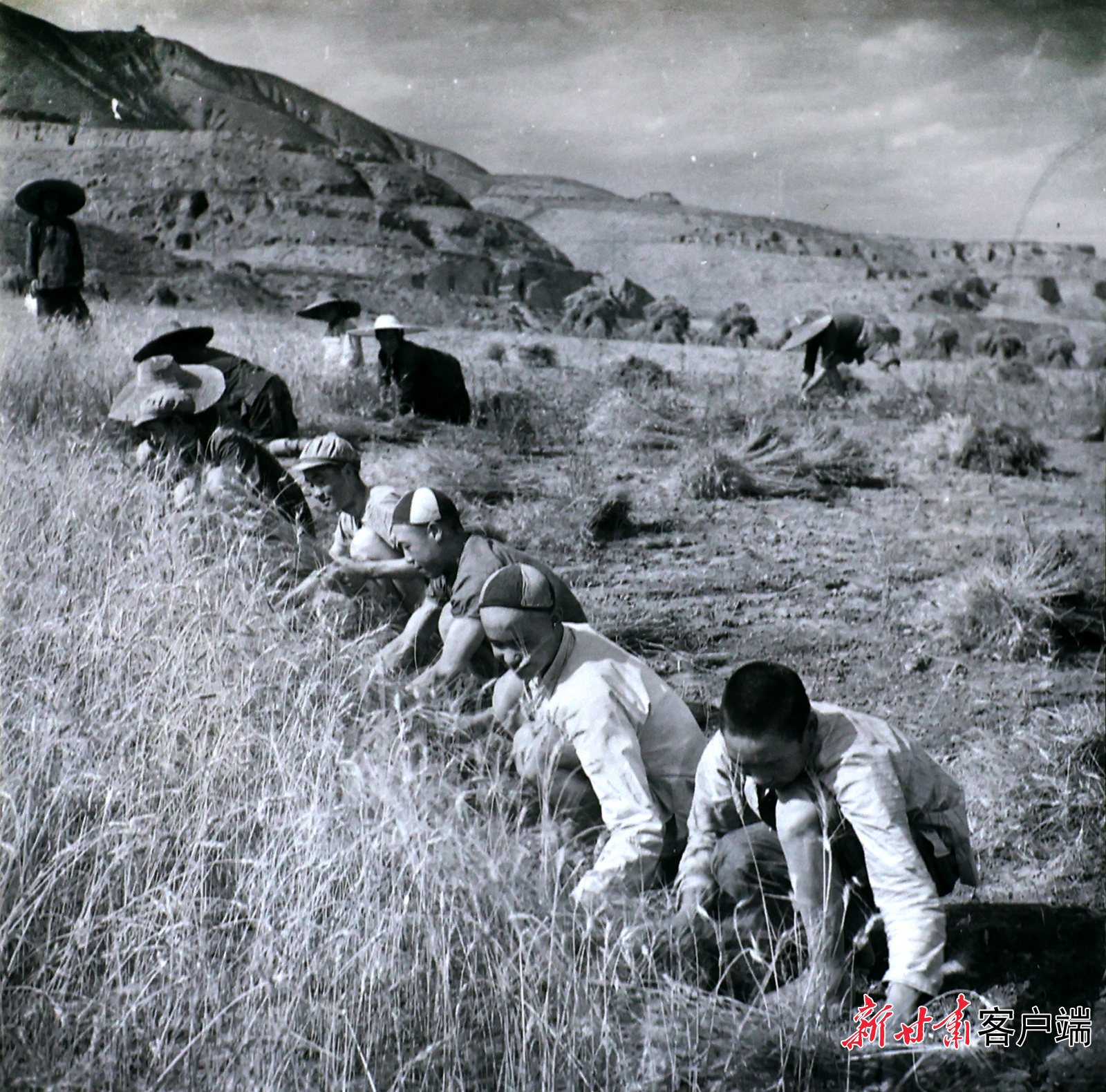 AI复活老照片　60年前陇原夏日“丰”景有多美