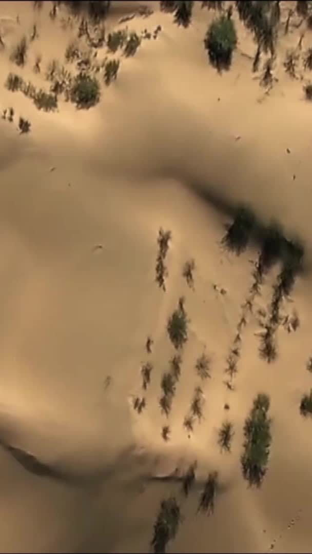 昔日“沙坨子”如今“金窝窝”