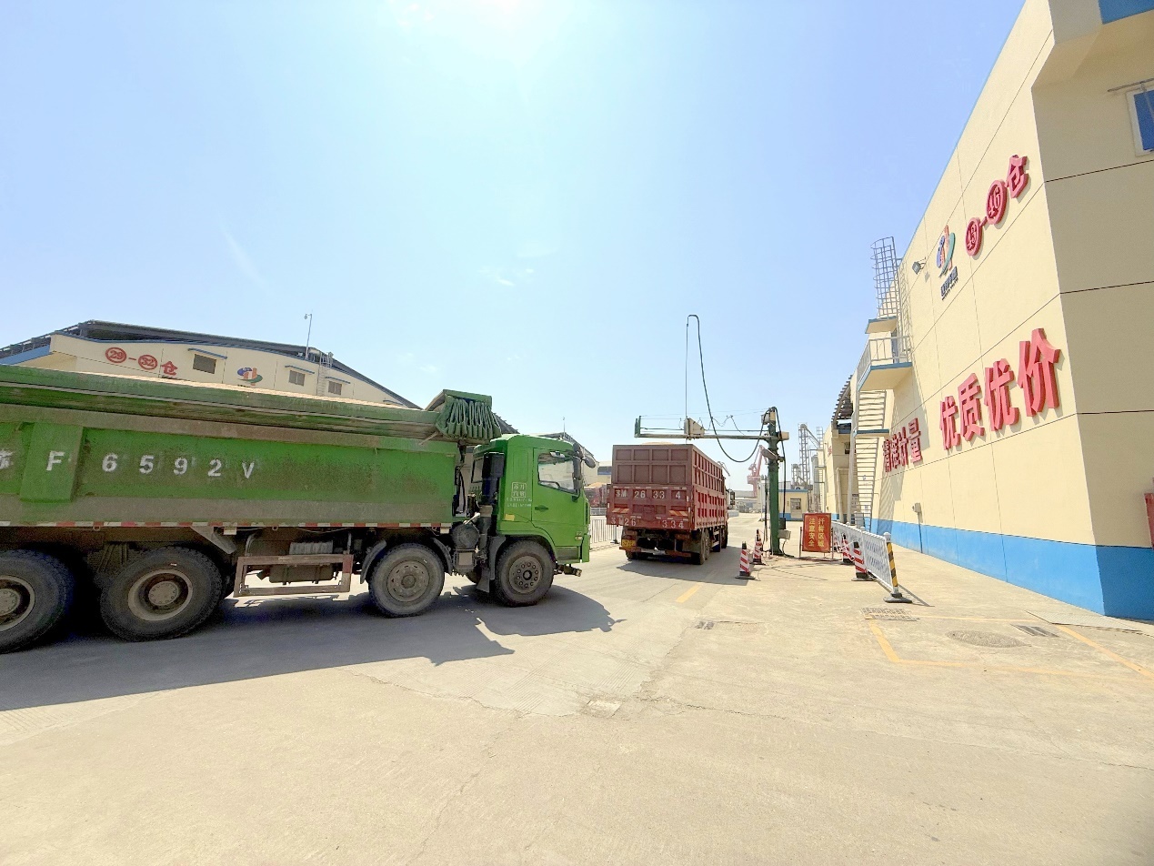 图为夏粮收购现场。陆环宇摄