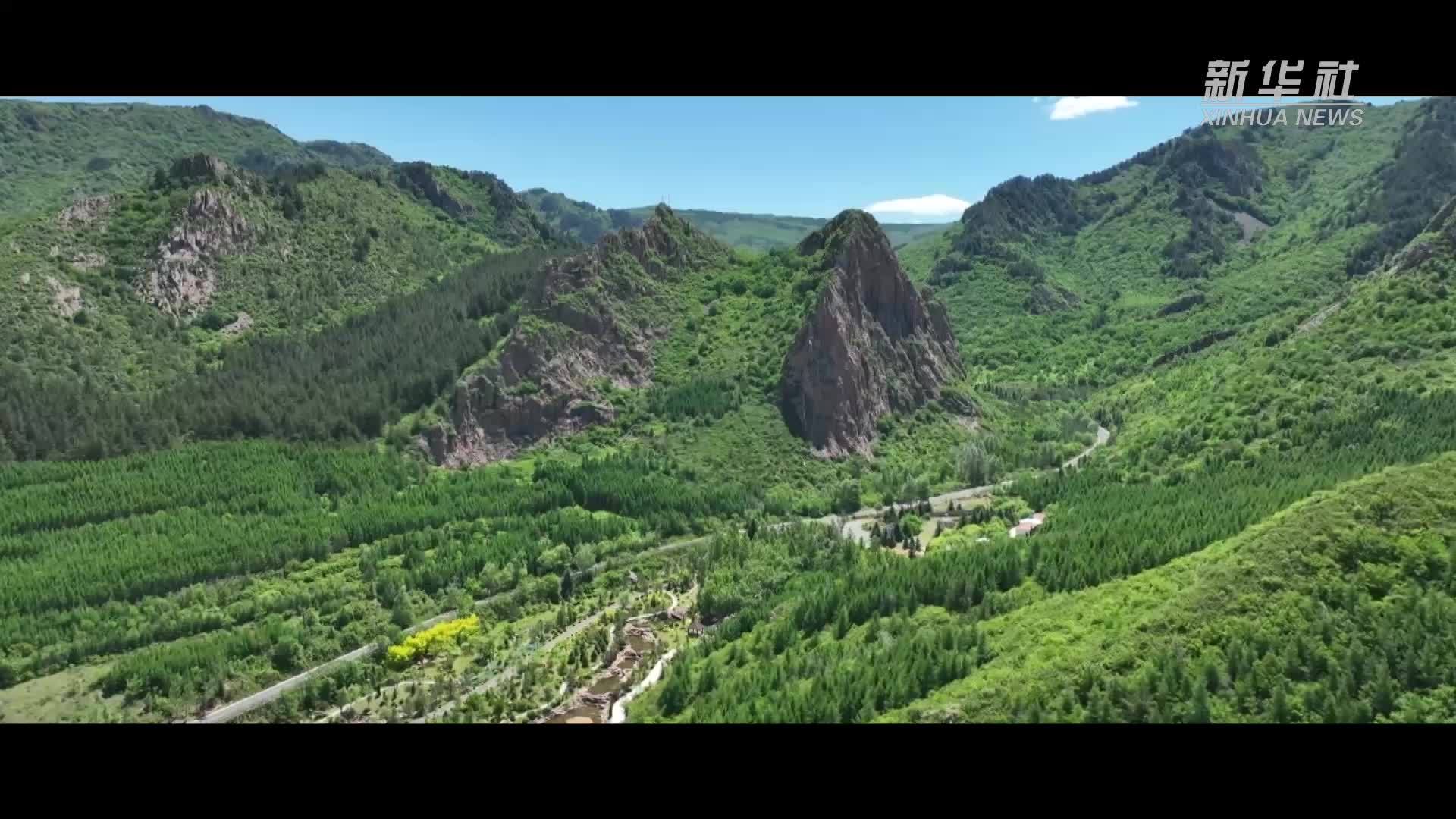 微视频｜为了心中那一抹绿色