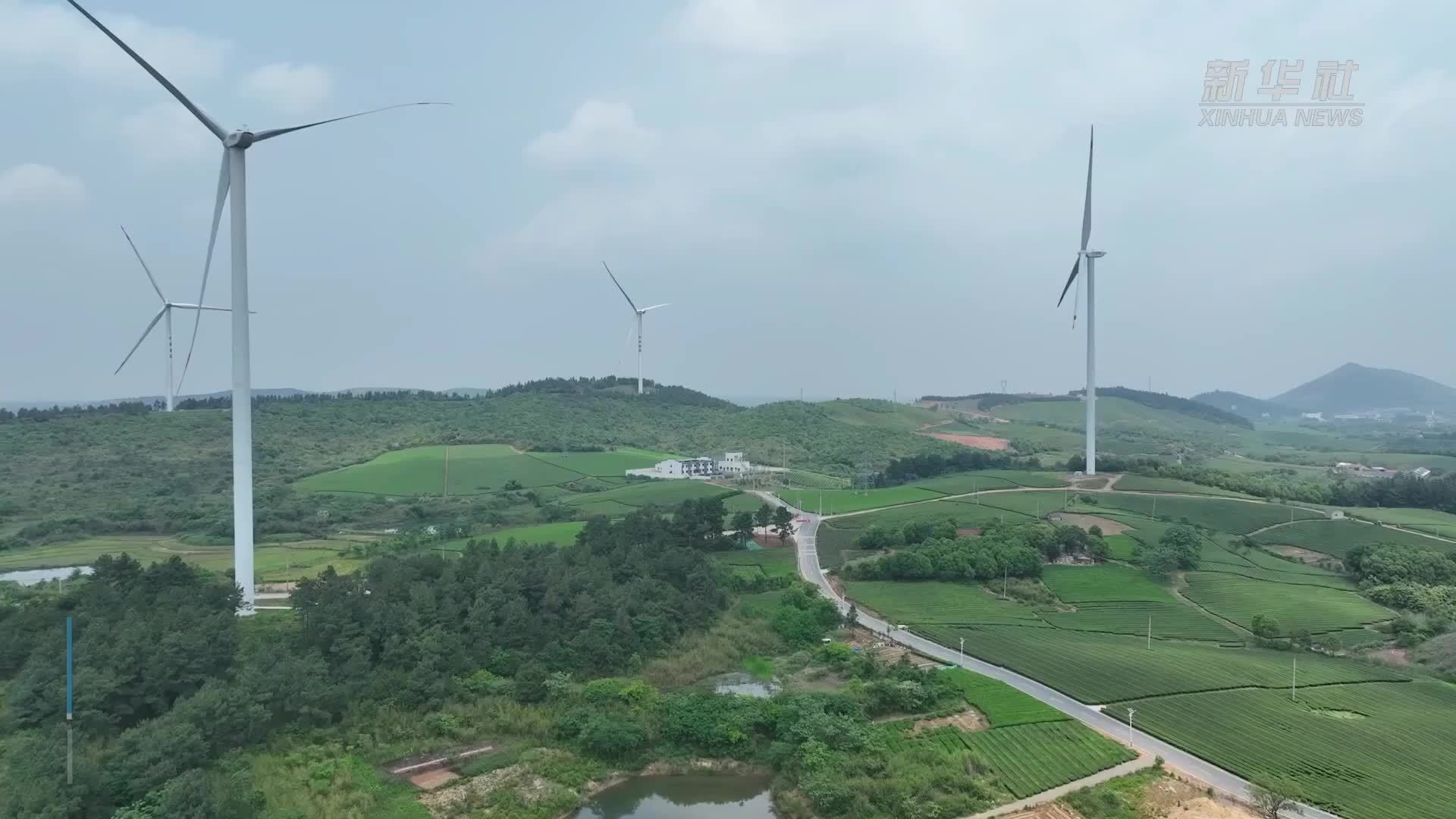 皖能集团：打好“组合拳”助力人才与发展双向奔赴