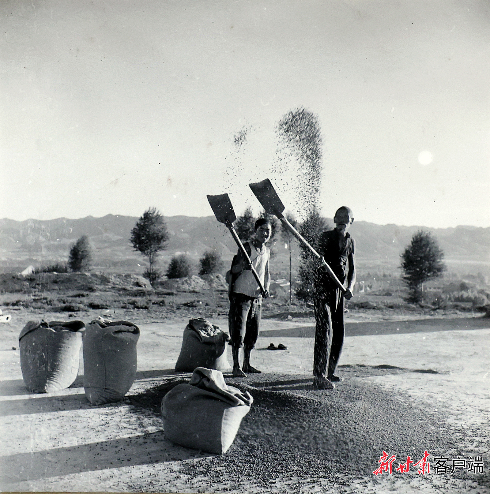 AI复活老照片　60年前陇原夏日“丰”景有多美