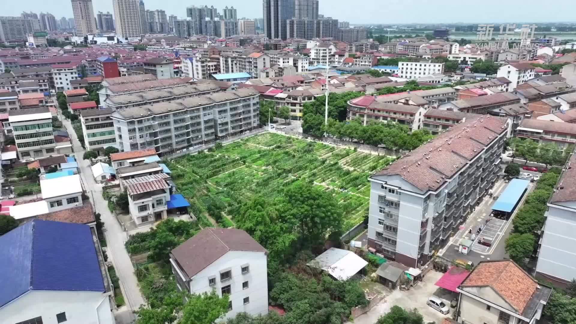 湖南鼎城：城市“边角地”种出新花样