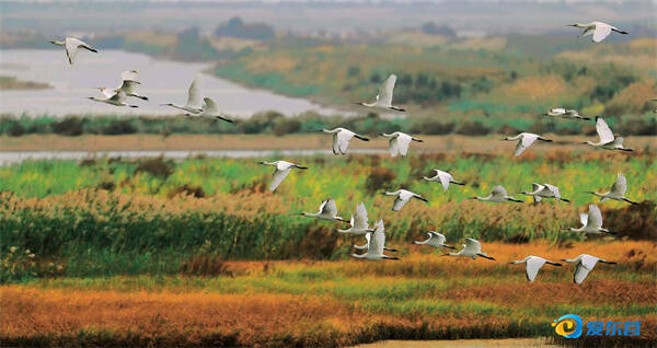 大美湿地（资料图）通讯员 于绍源