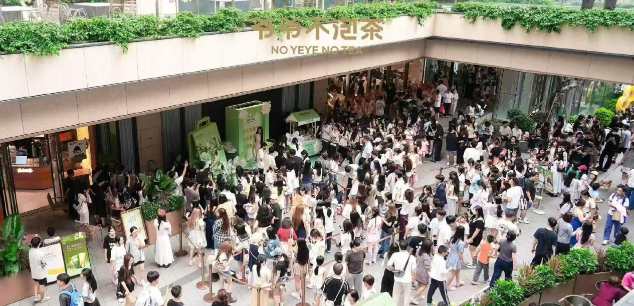 爷爷不泡茶