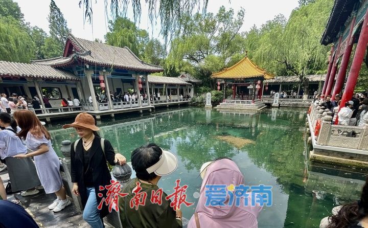 一年四季 泉在济南｜雨后趵突泉水位回升 泉水欢腾引游客