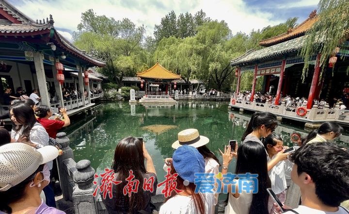 一年四季 泉在济南｜雨后趵突泉水位回升 泉水欢腾引游客