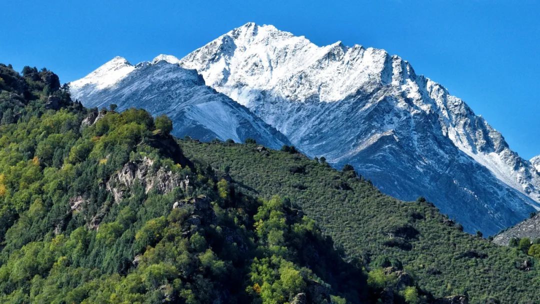 祁连山下的清凉秘境 避暑拍照两不误