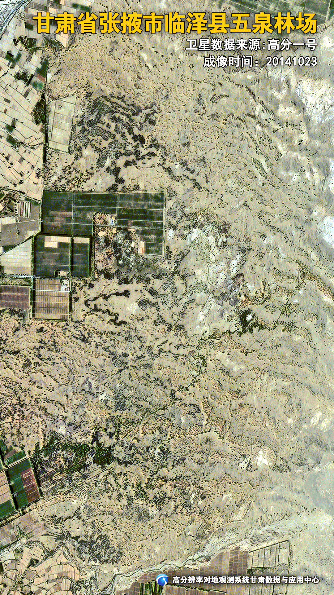 甘肃"十四五"治理近1200万亩沙化土地　瞰河西走廊绿变