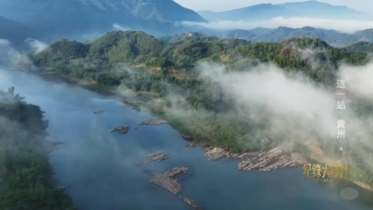 赤水河禁渔后，消失的种群重新出现，这里正重新变为鱼儿的天堂