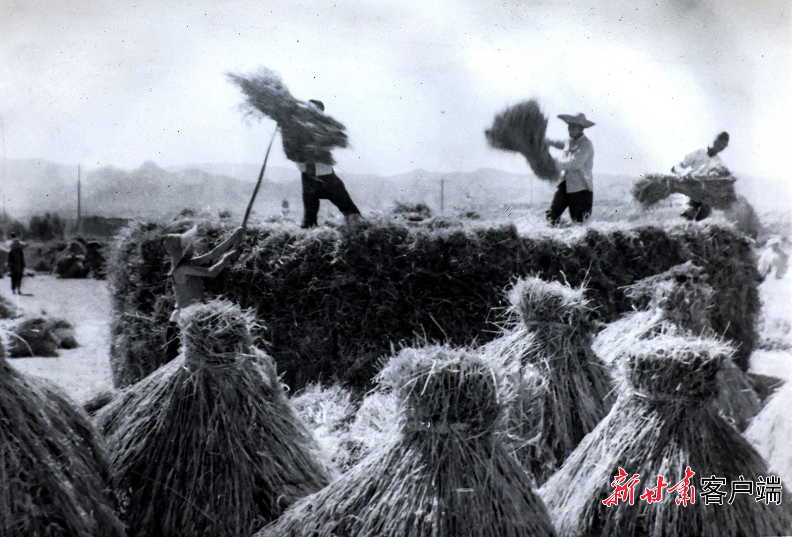 AI复活老照片　60年前陇原夏日“丰”景有多美
