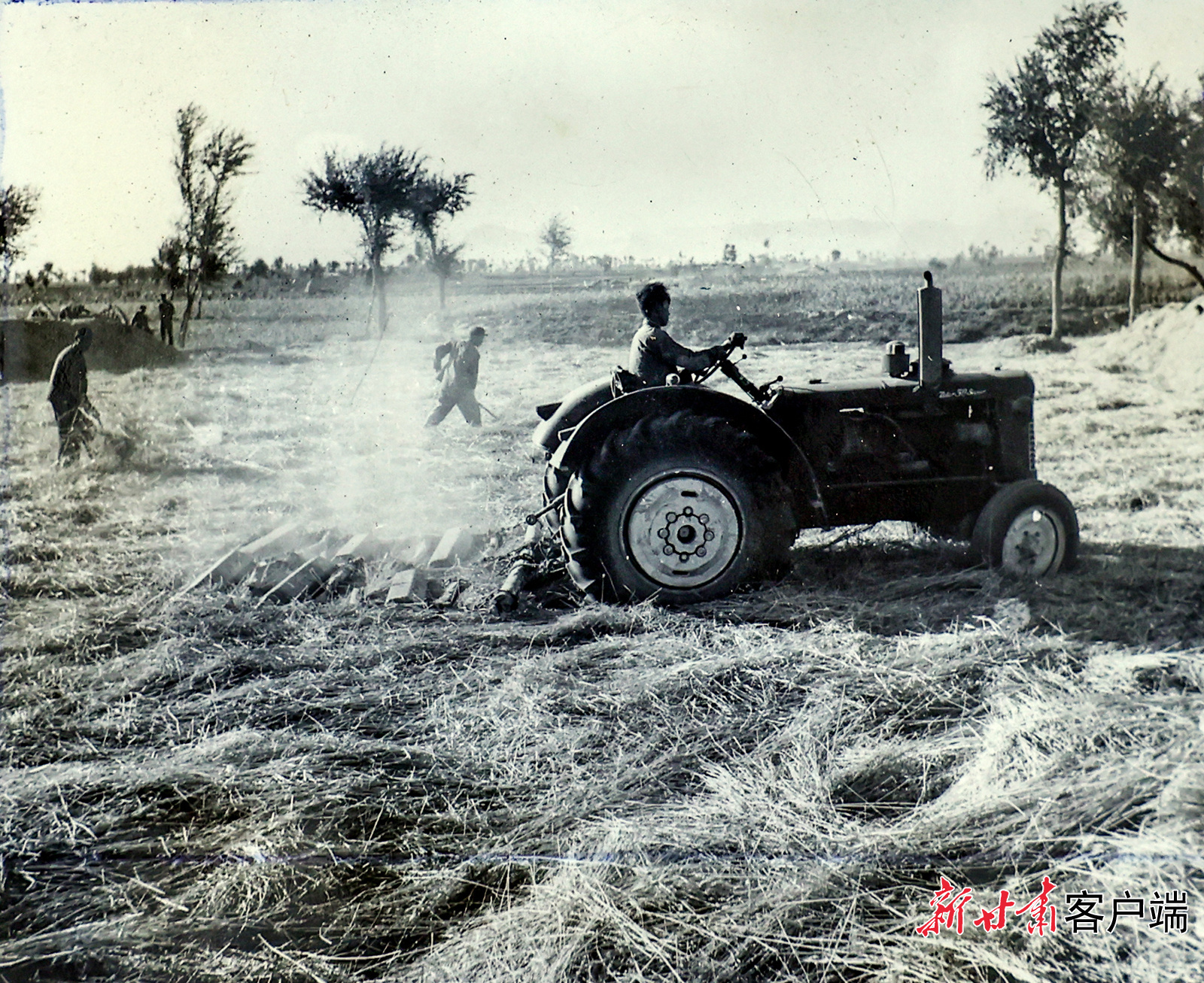 AI复活老照片　60年前陇原夏日“丰”景有多美