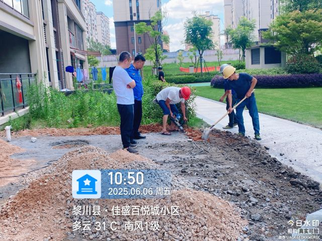 新余高新区水西镇耕地被流转后抛荒多年 镇政府回应