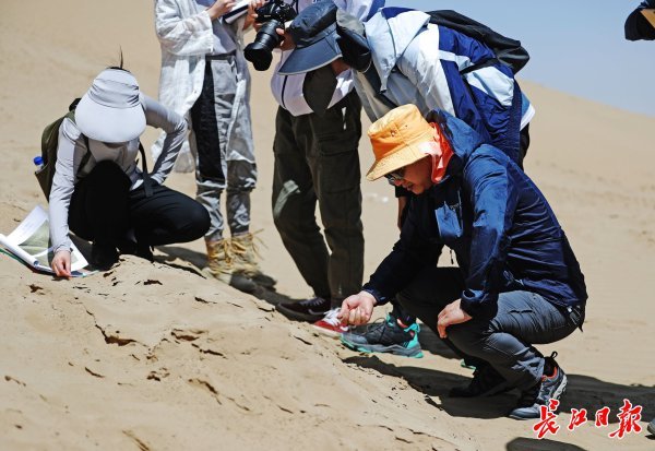中国地质大学(武汉)行星科学研究所所长肖龙和学生在柴达木盆地科研。记者何晓刚 摄