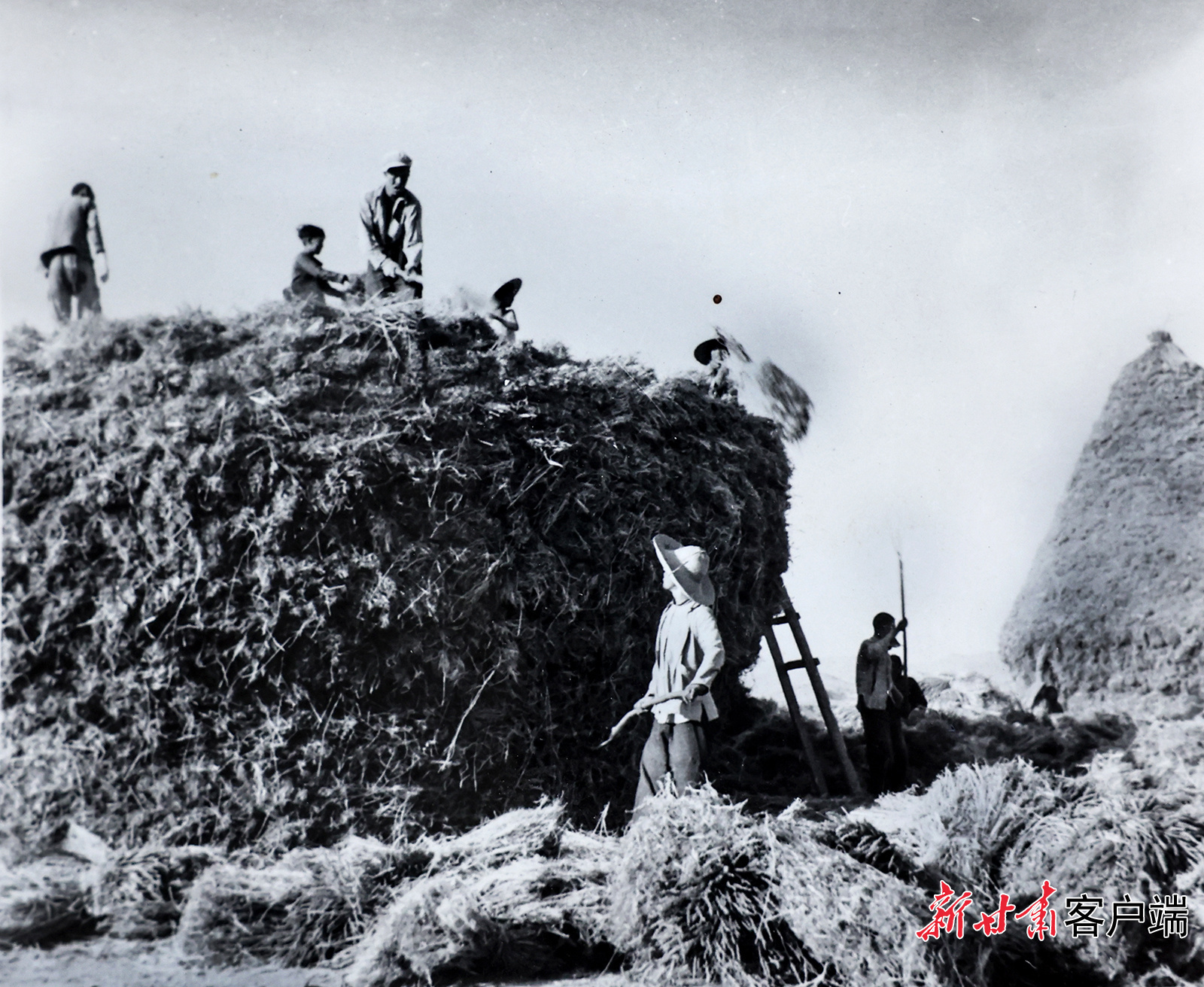 AI复活老照片　60年前陇原夏日“丰”景有多美