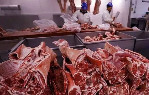 新余高新区水西镇耕地被流转后抛荒多年 镇政府回应