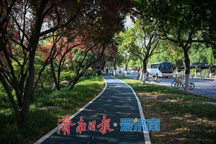 一年四季 泉在济南丨泉水绿道贯穿城区 市民尽享都市慢行