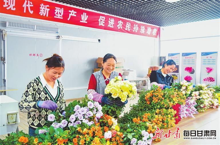 近日，位于渭源县上湾镇南谷新村的南谷玫瑰产业园，工人正在分拣切割的鲜花。新甘肃·甘肃日报记者　马伊星