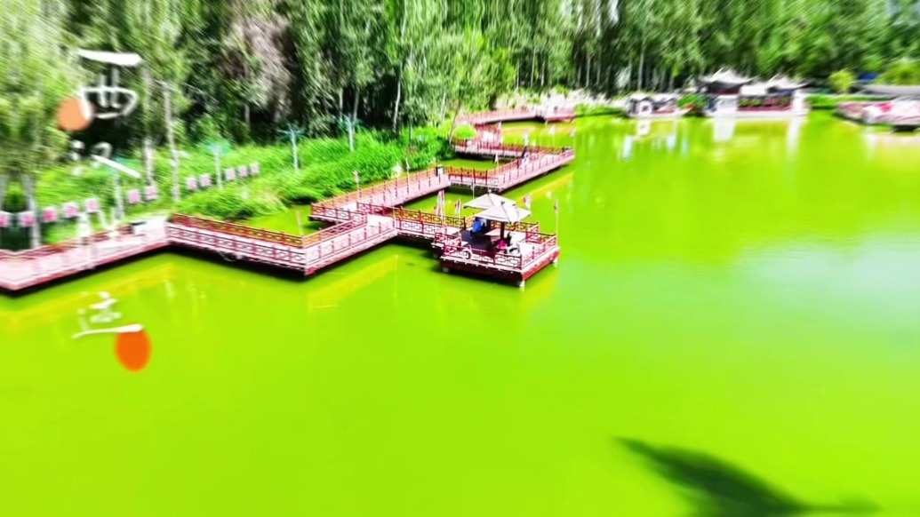 出发去肃州　来一场说走就走的旅行