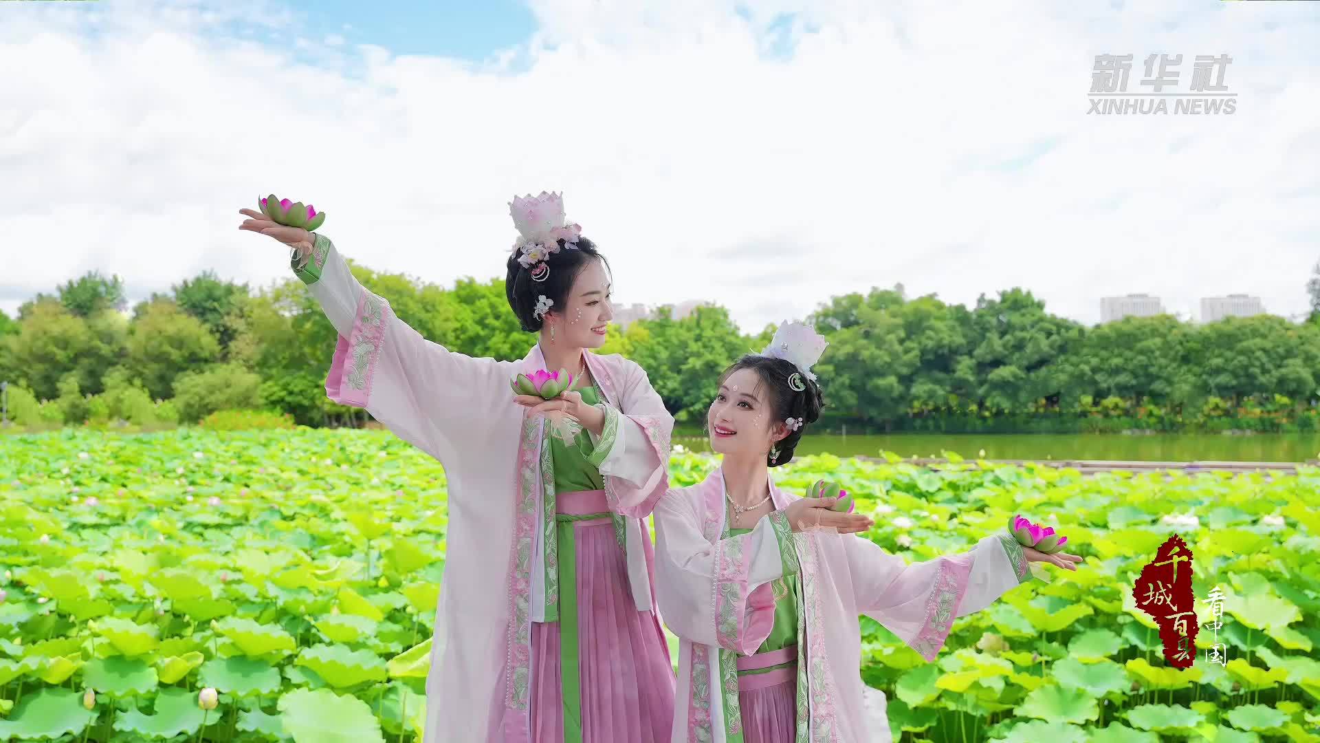 千城百县看中国｜福州鼓楼：夏至西湖 荷影翩跹