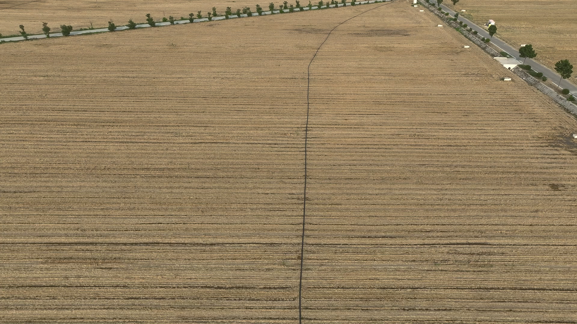 柘城县：农技服务到田间 科学灌溉保秋粮