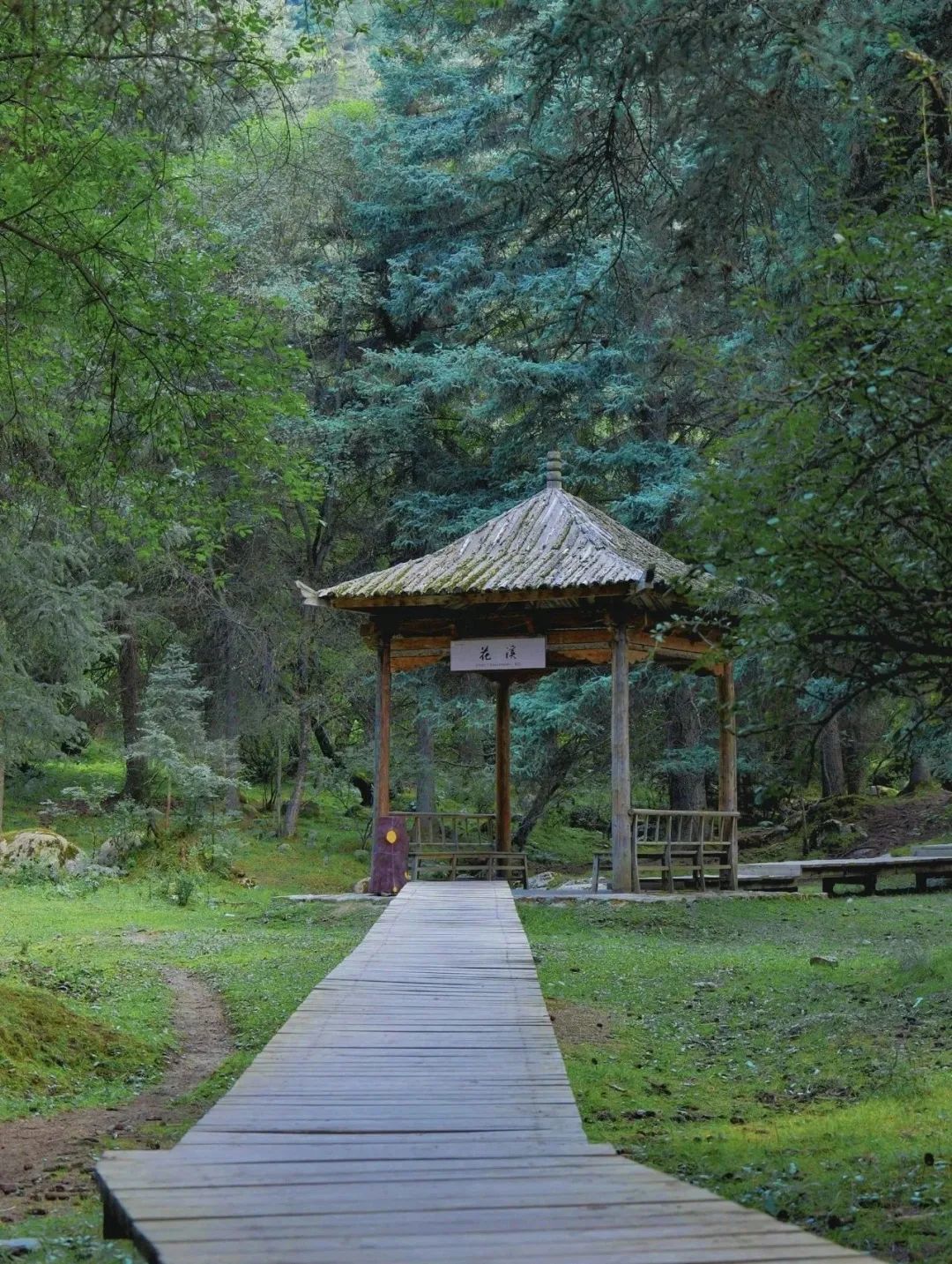 图源:祁连山冰沟河景区