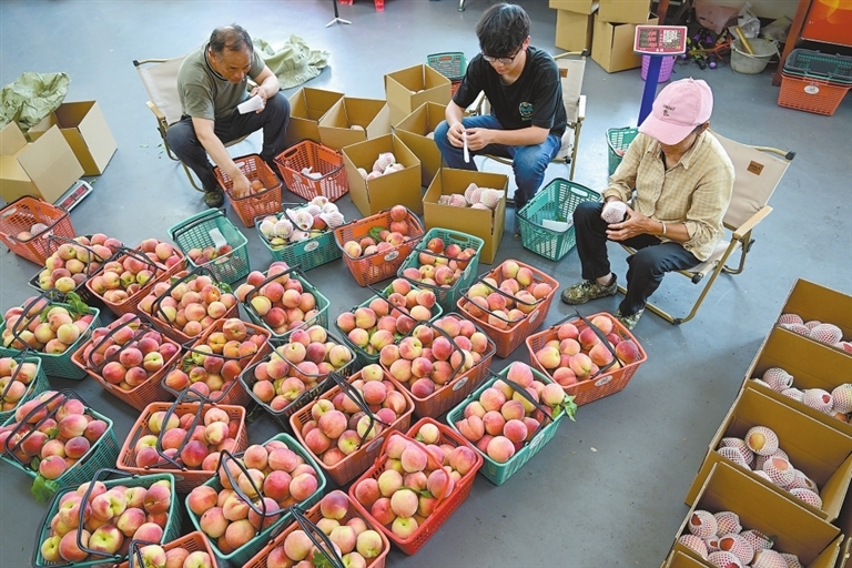 抢“鲜”上市（图）