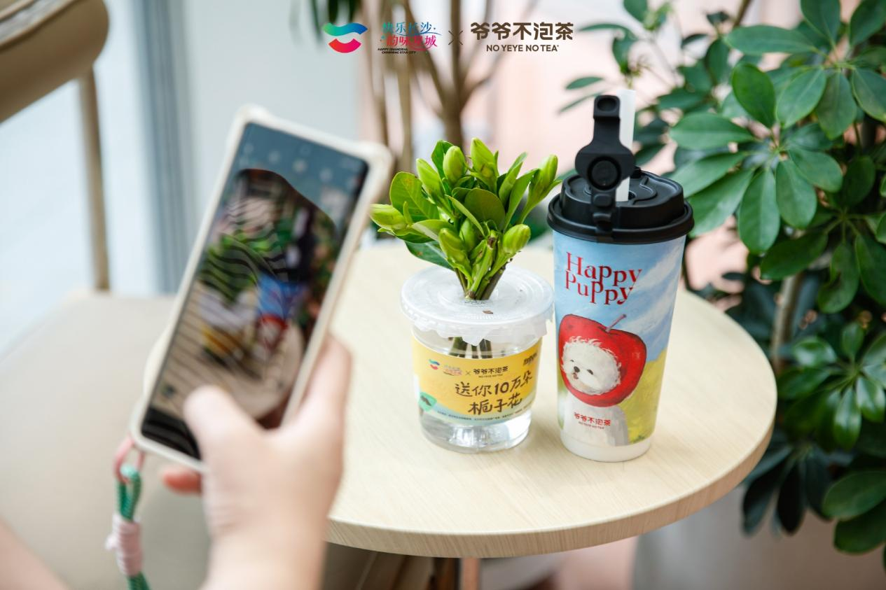 爷爷不泡茶