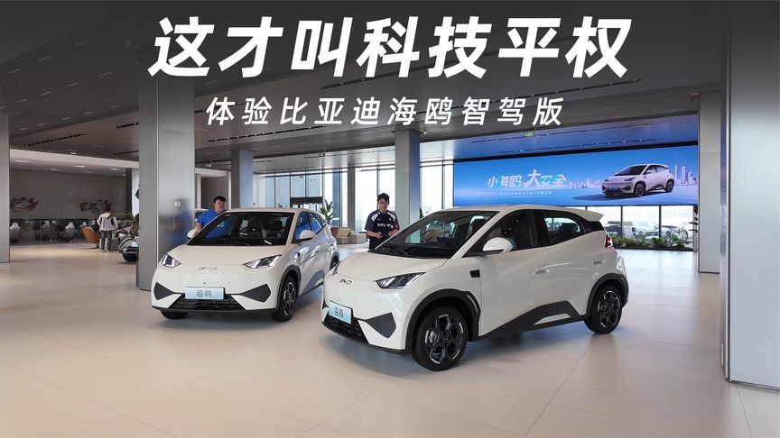 体验比亚迪海鸥智驾版，这才叫科技平权