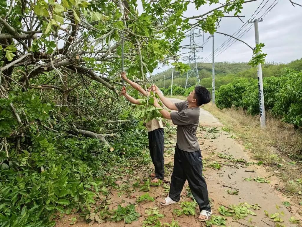 图|市综合行政执法局崖州分局前往南滨社区开展路面清障工作