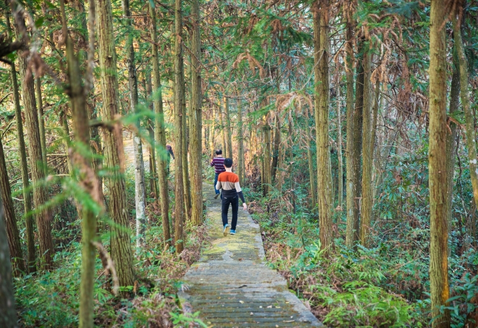 吉安永新县利用森林资源和生态旅游平衡开发实践纪实