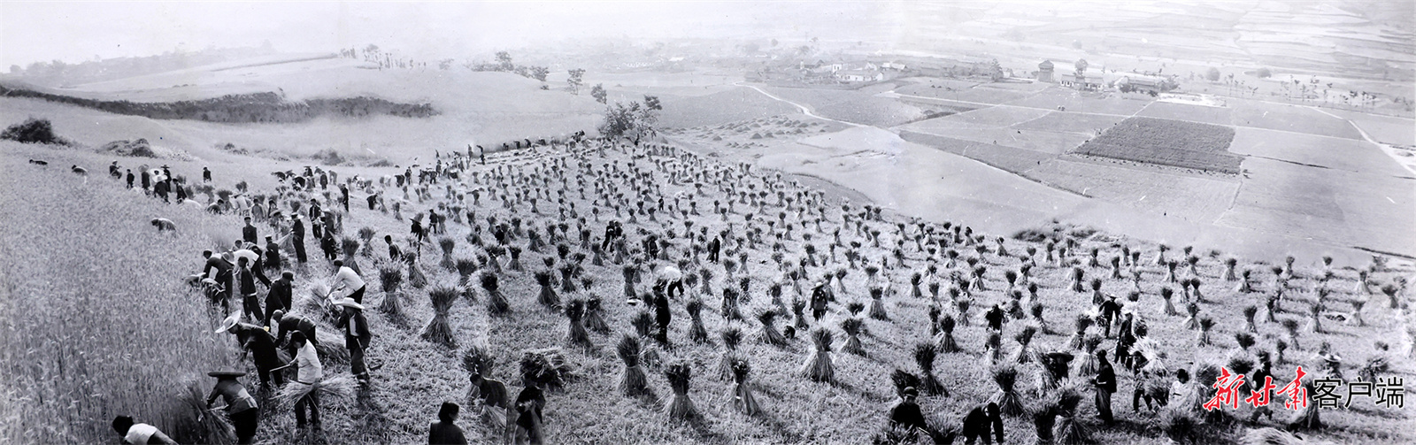 AI复活老照片　60年前陇原夏日“丰”景有多美