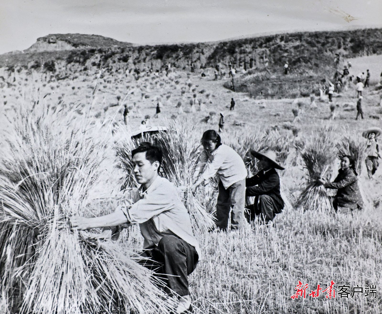 AI复活老照片　60年前陇原夏日“丰”景有多美