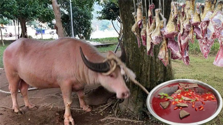 越南人杀牛吃，杀完肉都还是会动的，吃法更是让人大开眼界